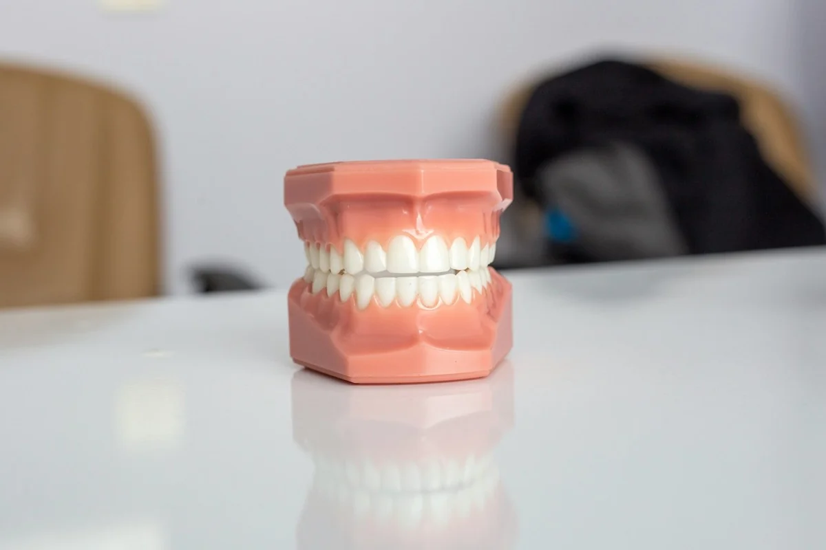 Why Regular Dental X-Rays Are Key to Preventive Care